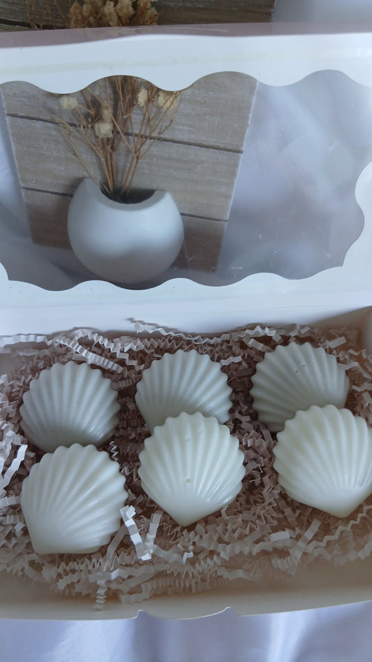 Coffret 6 fondants coquillages parfumés en cire de soja - Parfum de Grasse - Fait main à Nice
