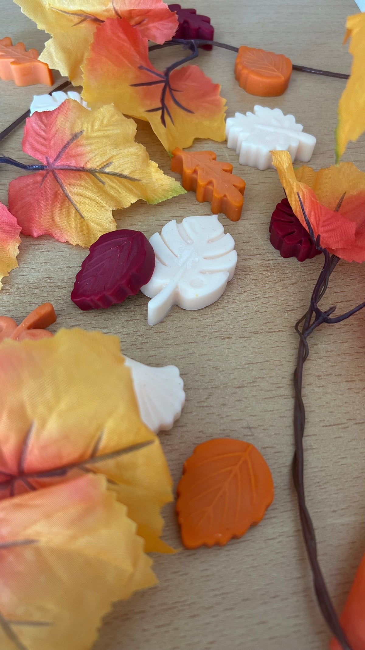 Fondants parfumés en forme de feuilles d'automne, cire de soja - Fait main à Nice